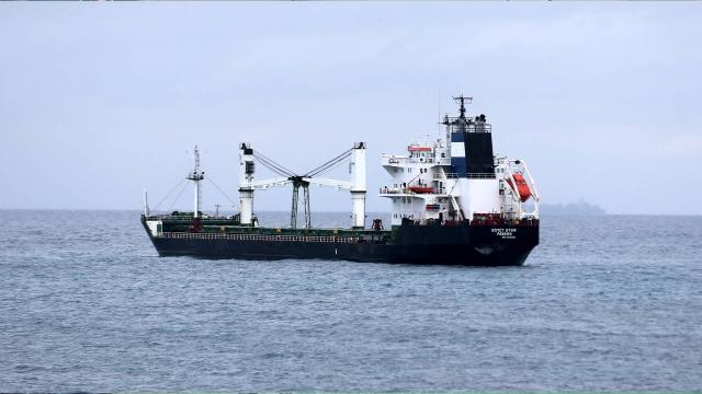 Karaya oturan Panama bayraklı kuru yük gemisi kurtarıldı