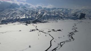 Karlı arazide yiyecek arayışı dronla görüntülendi