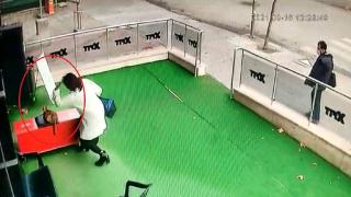 Hamile kediye şiddet uyguladı: Bin 33 lira para cezası verildi