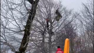 Yamaç paraşütü yaparken ağaçta asılı kaldı