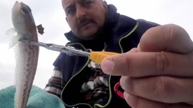 Zehirli balıkla temas etti, kolunda his kaybı oluştu