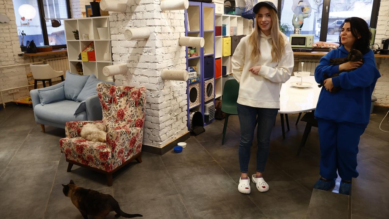 "Kediler, insanlarda olumlu duygular yaratabiliyor"