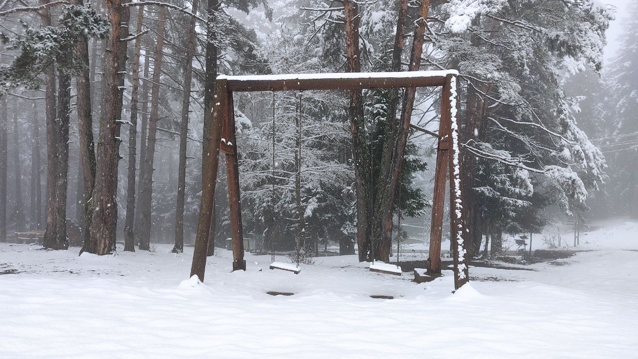 Fotoğraf: Fatih Tüysüz