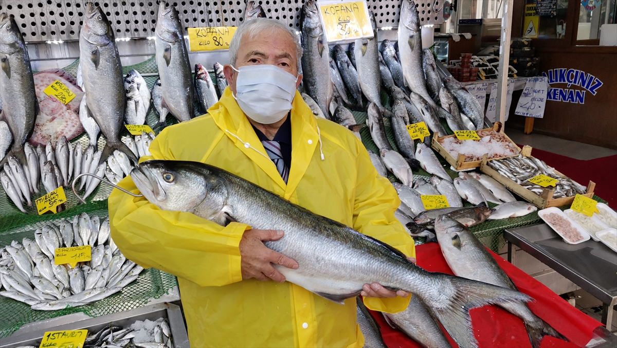 "10 senedir bu kadar bol değildi"