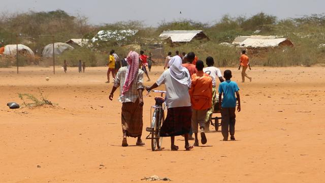Kenya, mülteci kamplarının kapatılması için BMye 2 hafta süre verdi