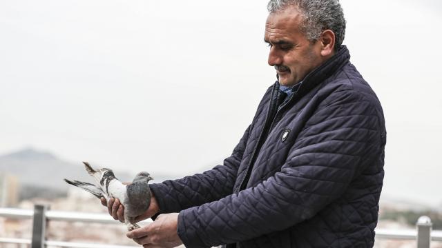 Covid-19 geçirdiği süreçte güvercinleriyle moral buldu