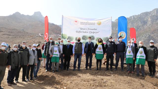 Pozantıda yanan ormanlık alana kızılçam tohumu ekildi