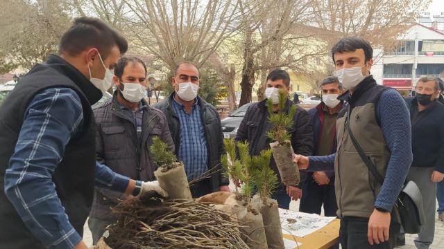 Vatandaşlara 650 adet fidan dağıtıldı
