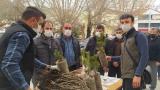 Vatandaşlara 650 adet fidan dağıtıldı