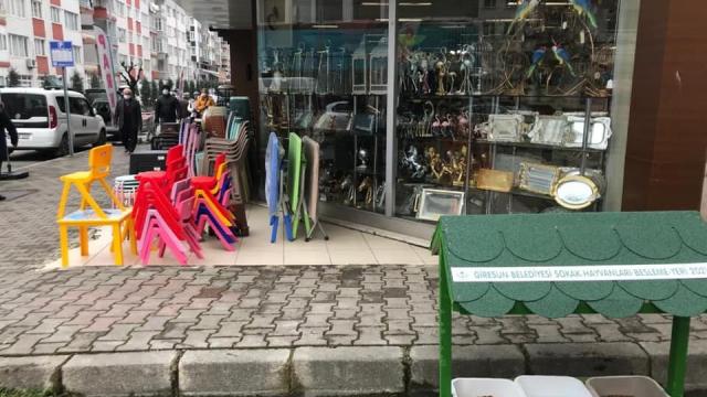 Giresunda sokaklara hayvanlar için mama ve su kapları yerleştiriliyor