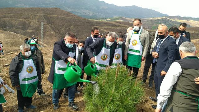 Adanada geçen yıl orman yangınlarında zarar gören alanlar ağaçlandırılıyor