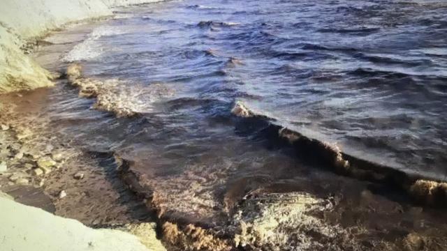 Adanadaki deniz kirliğinin nedeni belli oldu