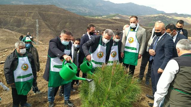 Adanada yangınlarda zarar gören alanlar ağaçlandırılıyor
