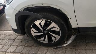 Köpekler, kediyi yakalamak için aracın çamurluğunu parçaladı