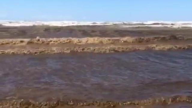 Adanada deniz, gemi atıkları nedeniyle siyaha boyandı