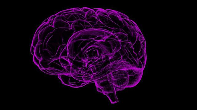 Türkiyede yaklaşık 1 milyon epilepsi hastası bulunuyor