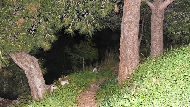 İzmirde ormanlık alanda kafatası ve kaburga bulundu