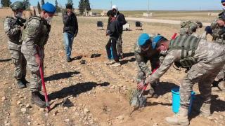 Mehmetçik, Tel Abyad’da kullanılmayan arazileri ağaçlandırıyor