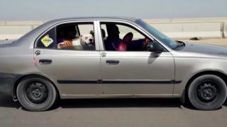 Artık hayvanların da taksisi var