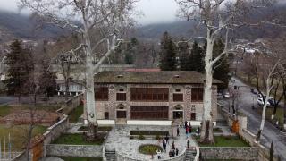 600 yıllık çınar ağaçlarının gölgesinde "Şeki Han Sarayı"