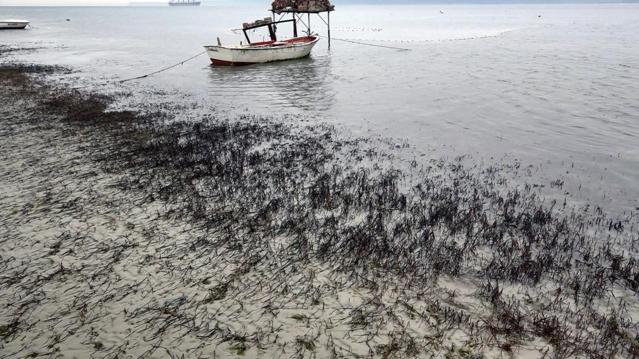 "Sığ su olduğu için de kumsalda 25- 30 metrelik çekilme söz konusu"