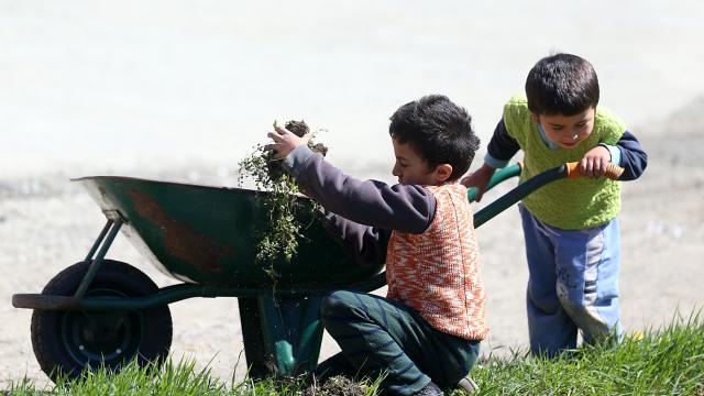 Doğu Karadenizde çiftçiler, ilkbaharın gelmesiyle tarlalarında temizliğe başladı