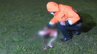 İzmir’deki flamingo ölümlerinin nedeni araştırılıyor