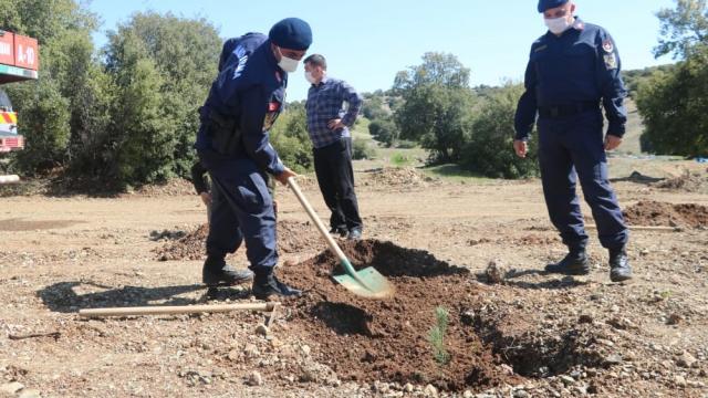 Kahramanmaraşta jandarma ekipleri fidan dikti