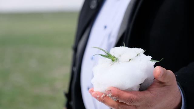 Konya Ovasında yağışlar çiftçiyi sevindirdi