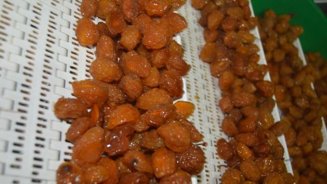 Afyonkarahisardan 62 kente işlenmiş kuru meyve gönderiliyor