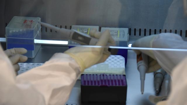 İçişleri Bakanlığından PCR genelgesi