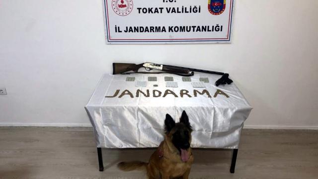 Tokat, Sakarya ve İstanbulda uyuşturucu operasyonu: 11 kişi tutuklandı