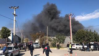 Mersin'de muz sarartma tesisinde yangın