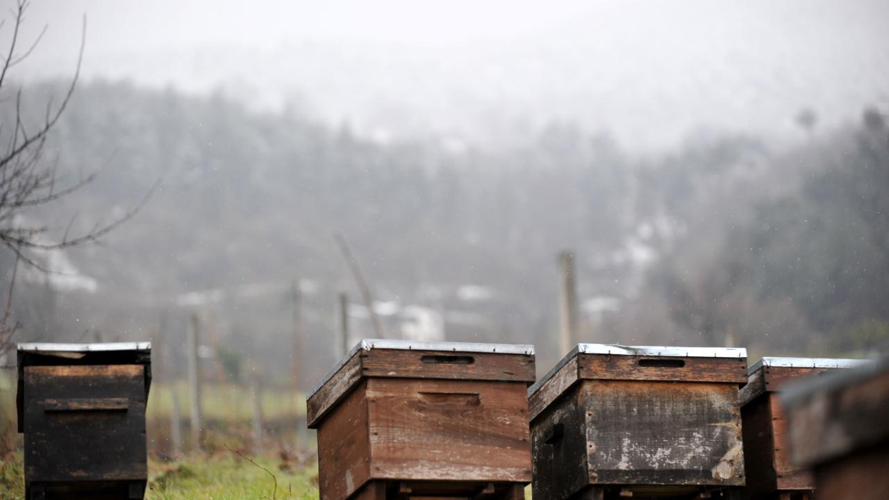 "Artan ölümlerin nedeni sadece soğuk hava değil"