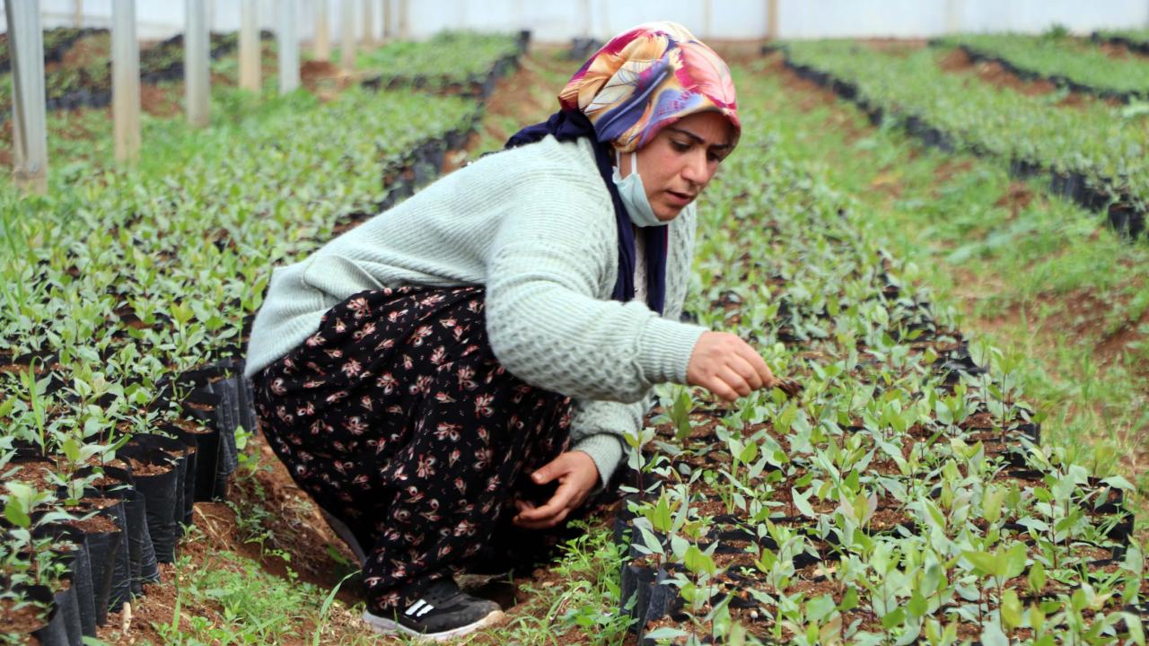 "İlk defa kendi paramı kazandım"
