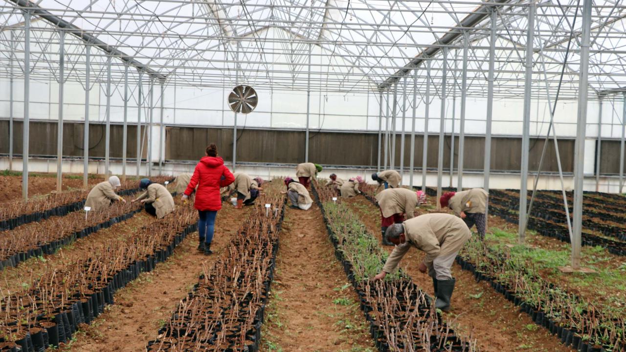 "Hayalim çocuklarıma yeniden kavuşmak"