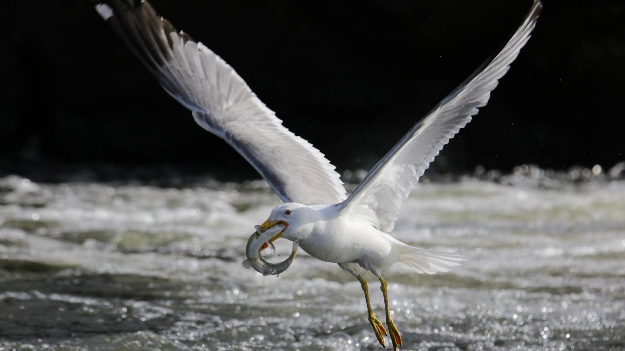"Su olmazsa, insanoğlu da yaşayamaz"
