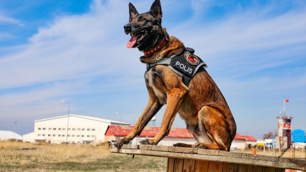 Van Emniyet Müdürlüğü`nde göreve başladı