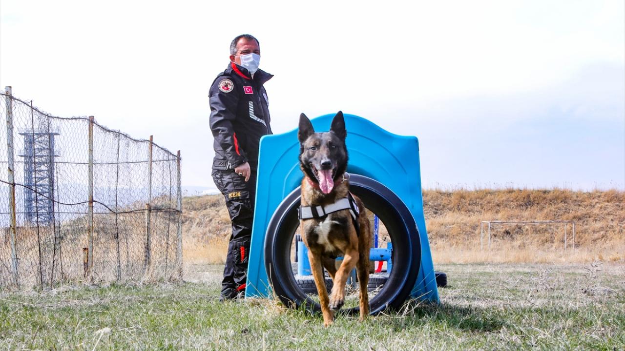 "Kendi evladımız gibi ilgileniyoruz"