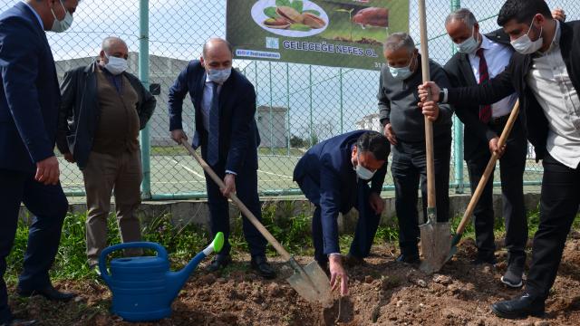 Batmanda bir okulun bahçesine fıstık fidanı dikildi