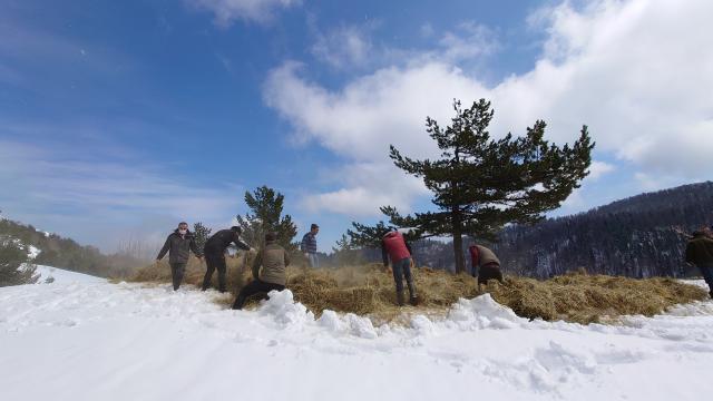 Boluda kışın yaban hayvanları için doğaya 35 ton 600 kilogram yem bırakıldı