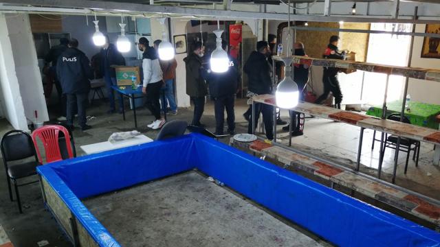 Horoz dövüştüren 54 kişiye ceza