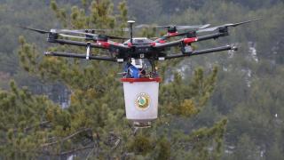 Dron teknolojisi ile ormanlar nefes alıyor