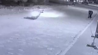 Seyir halindeki motosiklet, ağaca bağlı atın ipine takıldı