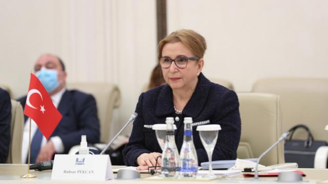 Pekcan: Azerbaycanla 15 milyar dolarlık ticaret hacmi hedefine yaklaştık