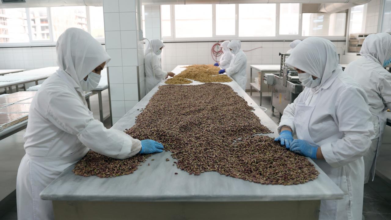 "Biz kültür elçisiyiz"