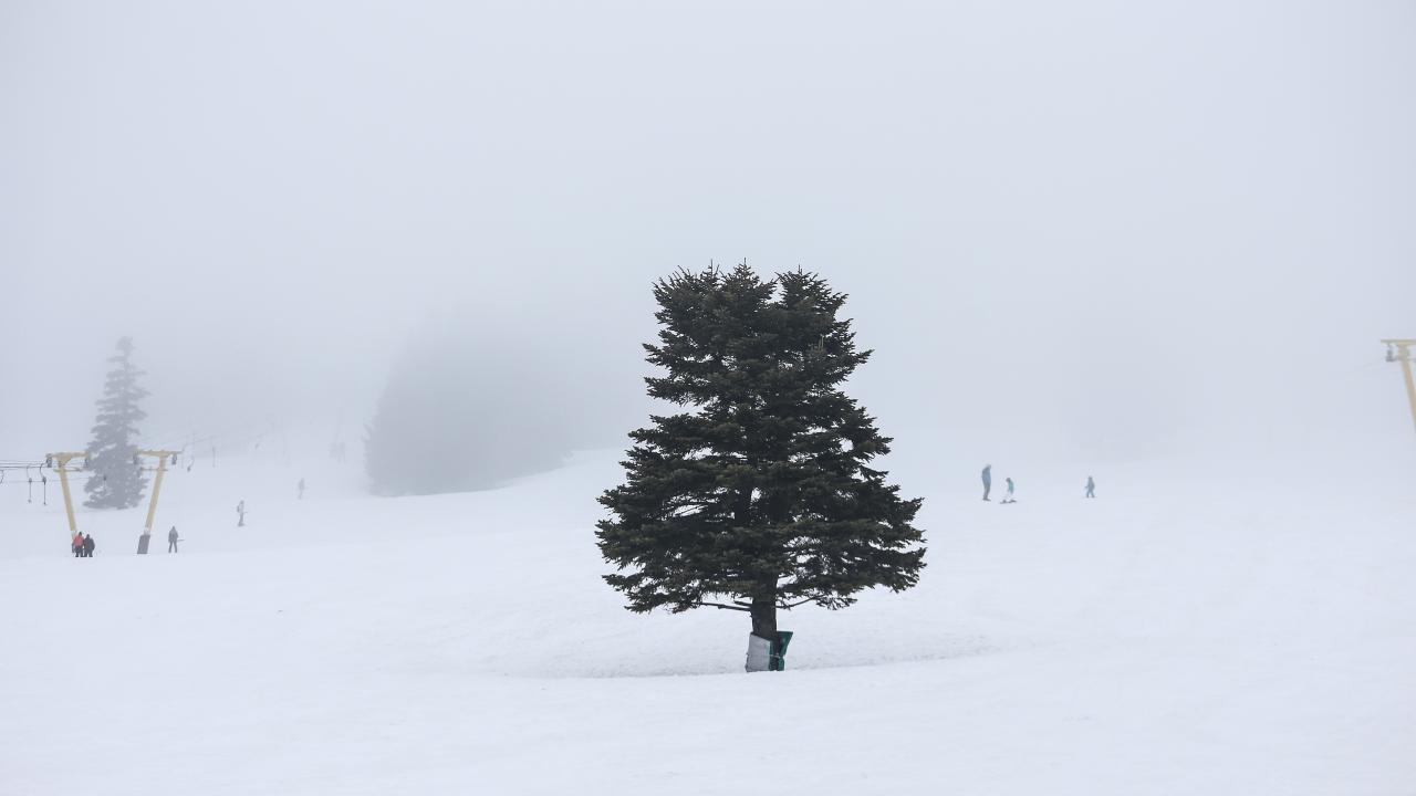 Pistleri sadece otellerde konaklayan tatilciler kullanabildi.