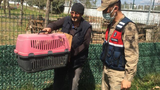 Diyarbakırda jandarmanın bulduğu yaralı kızıl şahin tedavi altına alındı