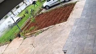 Bahçede yürüyen adam ölümden son anda kurtuldu