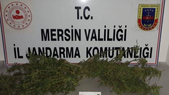 Mersinde uyuşturucu operasyonu